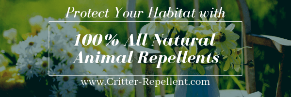 keep your garden pest free with Shake-Away 100% All Natural animal repellents