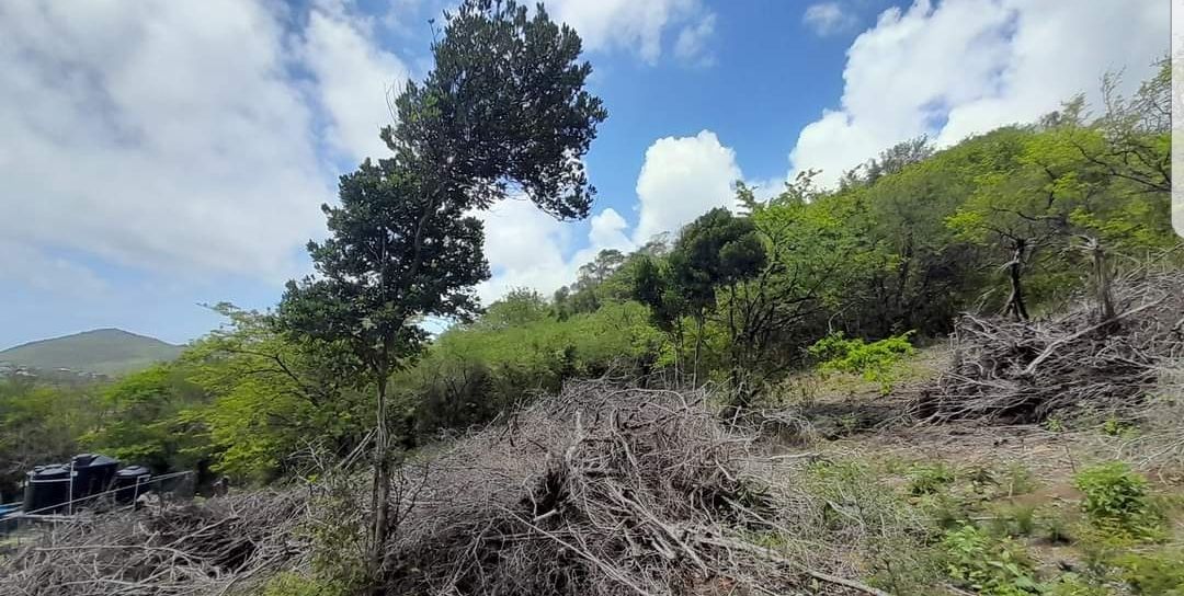 Land for Sale Beausejour, GrosIslet, St. Lucia