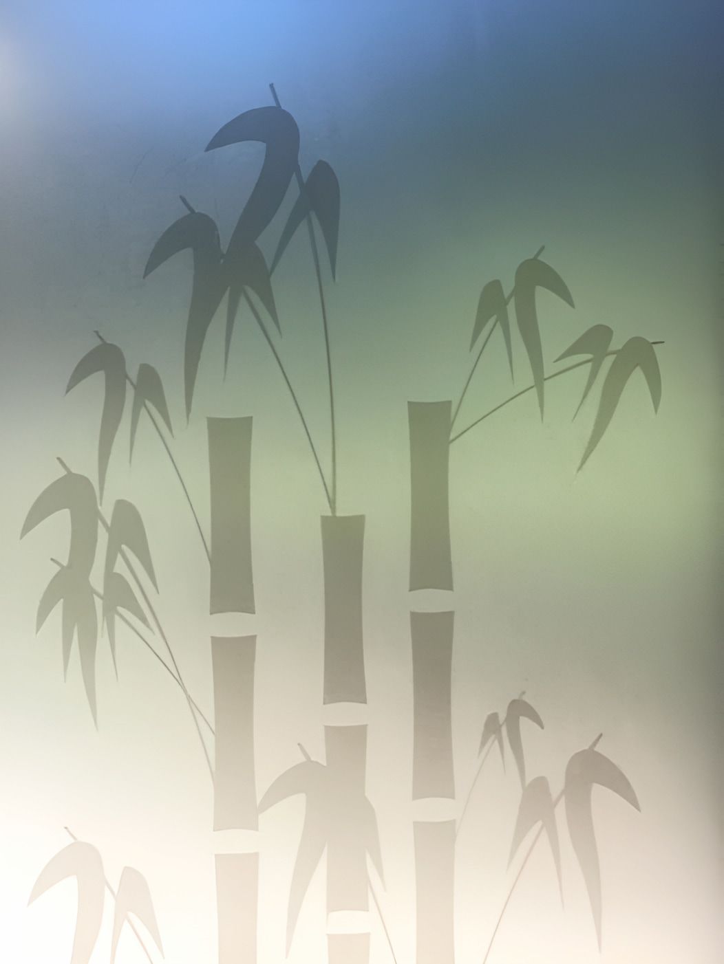 A Blurred Image Of A Bamboo Forest With A Blue Sky In The Background — TSR Tinting & Frosting In Caloundra West, QLD