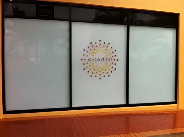 A Window With The Word Evolution On It — TSR Tinting & Frosting In Caloundra West, QLD