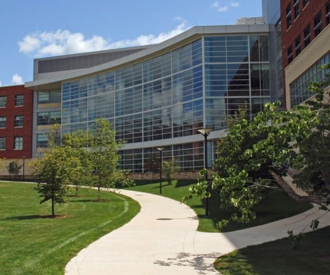 A Large Empty Room With Lots of Windows and a Shiny Floor — TSR Tinting & Frosting in Noosa, QLD