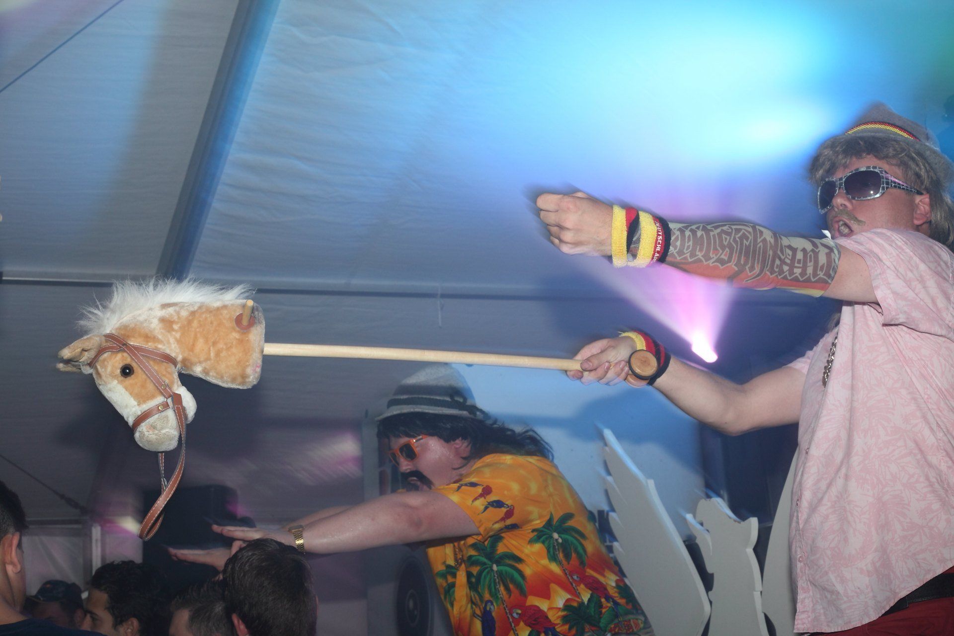 Beck und Bauer publiek paard