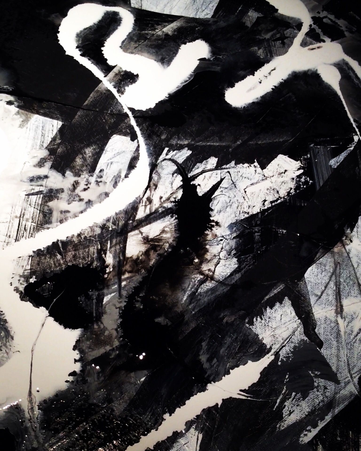 A black and white painting with the letter s on it