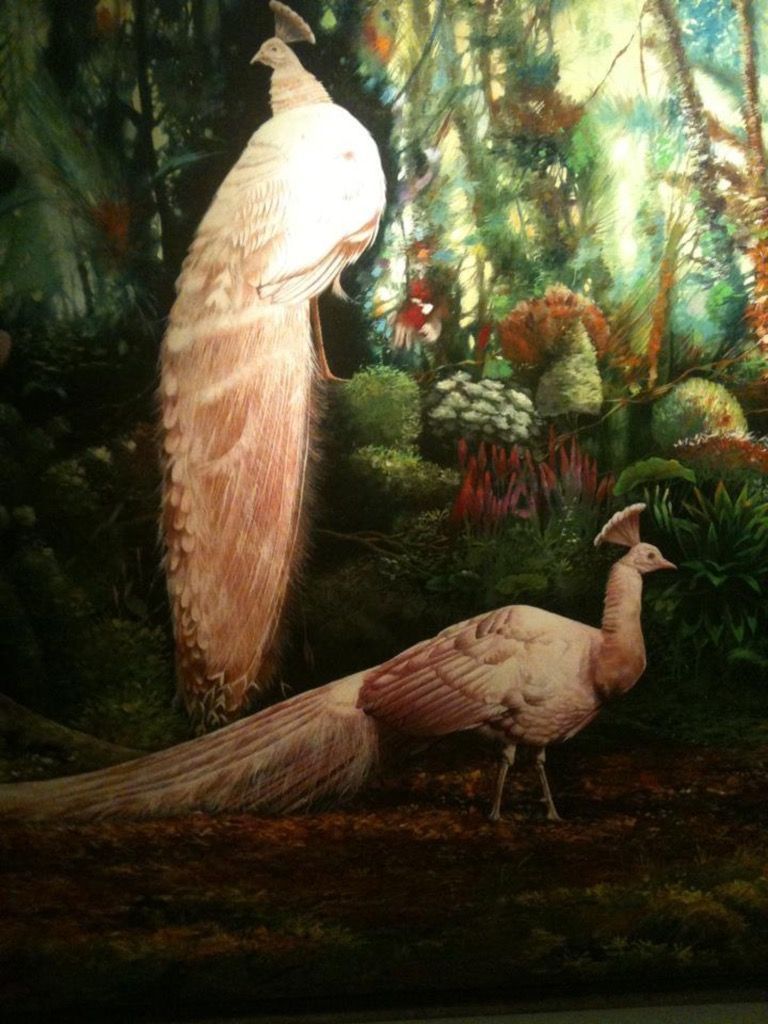 Two white peacocks are standing next to each other in a forest
