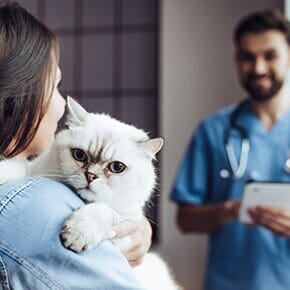 Animal Hospitals — Veterinarian at Clinic in Terrebonne, OR
