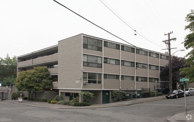 Olive Terrace Photo Gallery