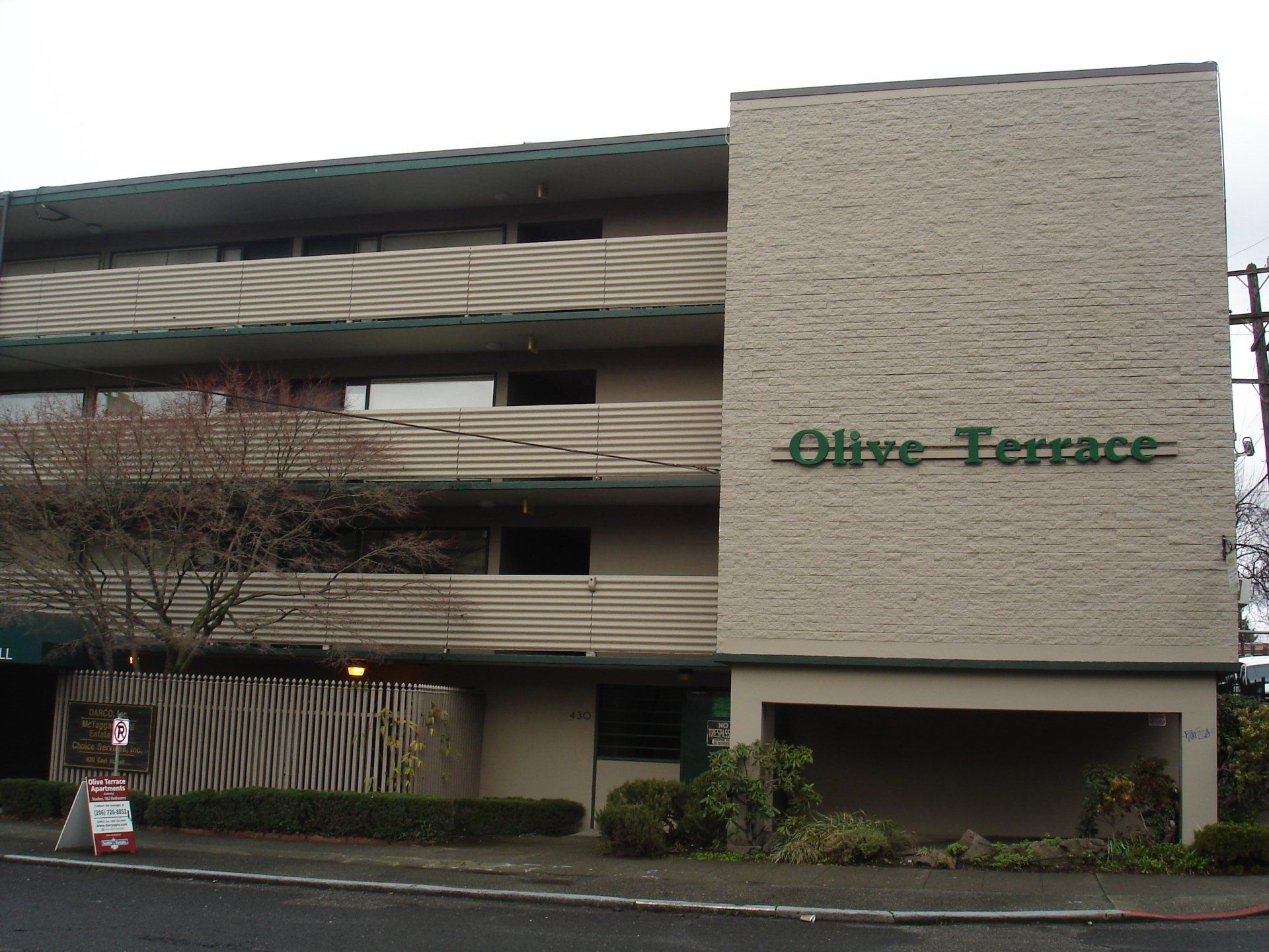 Olive Terrace Photo Gallery
