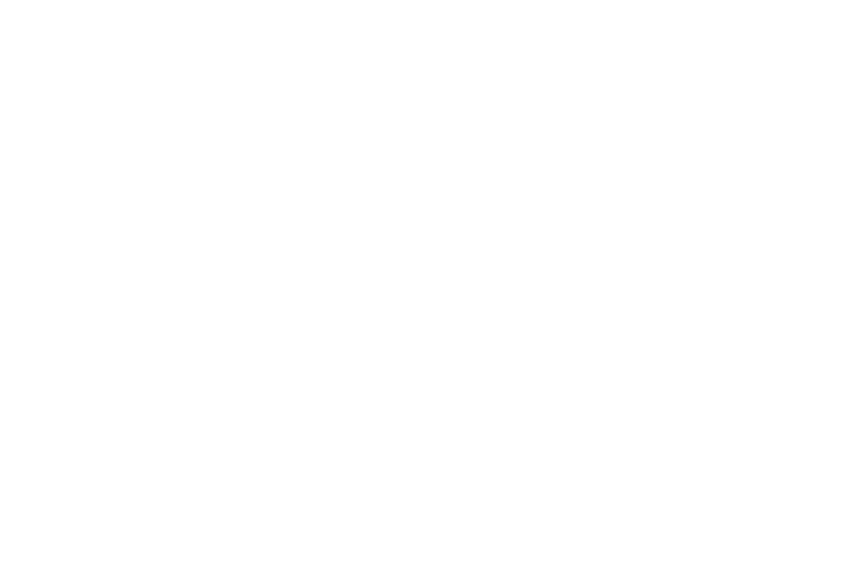 Travel Optimizer Rewards Logo - footer