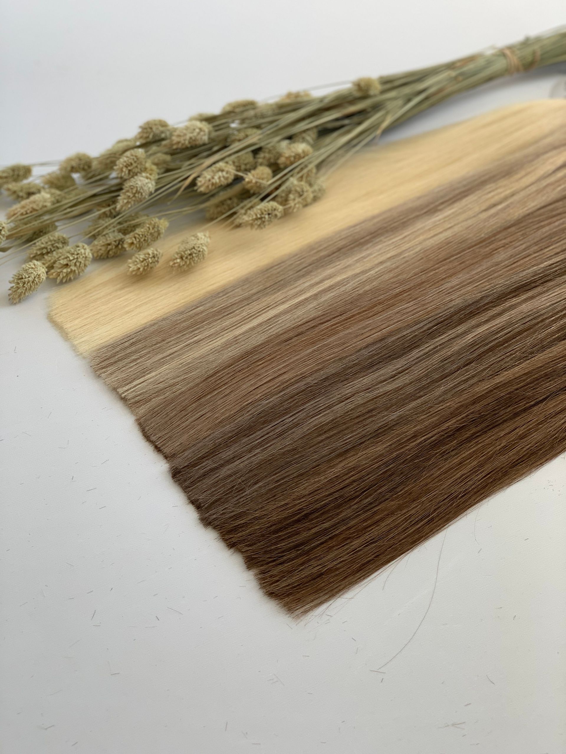 Ombre-colored hair swatch: blonde to brown, with dried grasses.