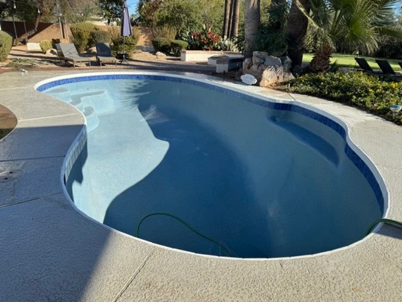 Pool with light blue water and dark blue tile trim, surrounded by concrete and landscaping.