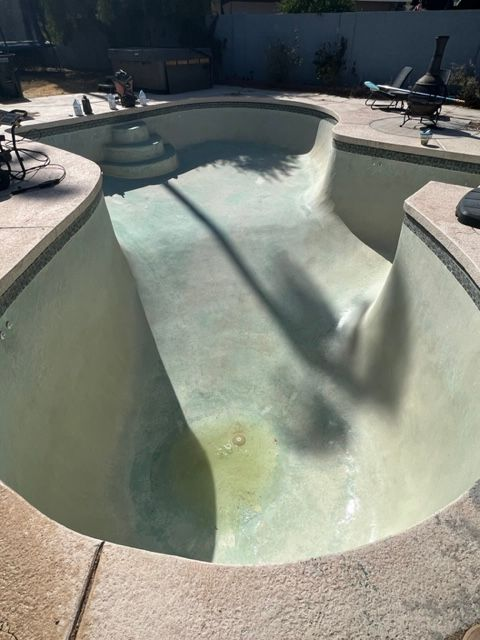 An empty pool with curved sides and steps, surrounded by stone paving, in a sunny backyard.