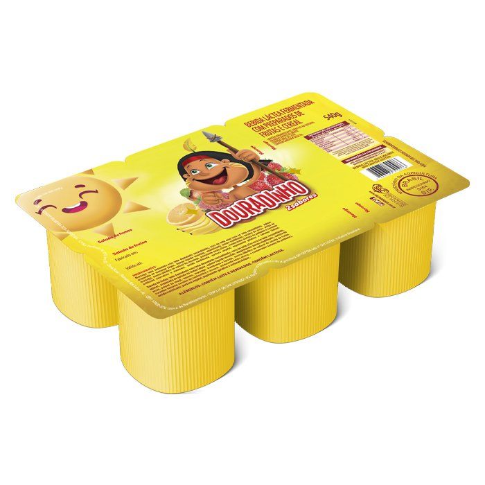Bebida Láctea Douradinho Morango/Salada de Frutas 540g