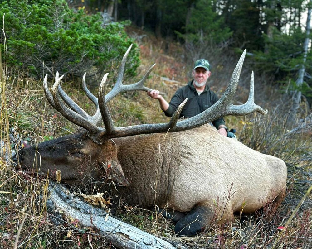 Elk Hunts Gallery Image