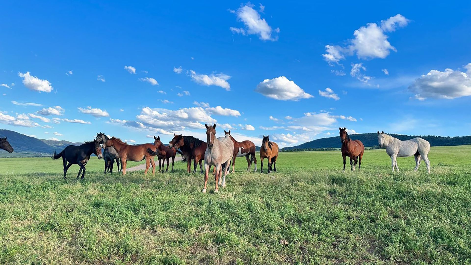 SAW Outfitters Gallery Image