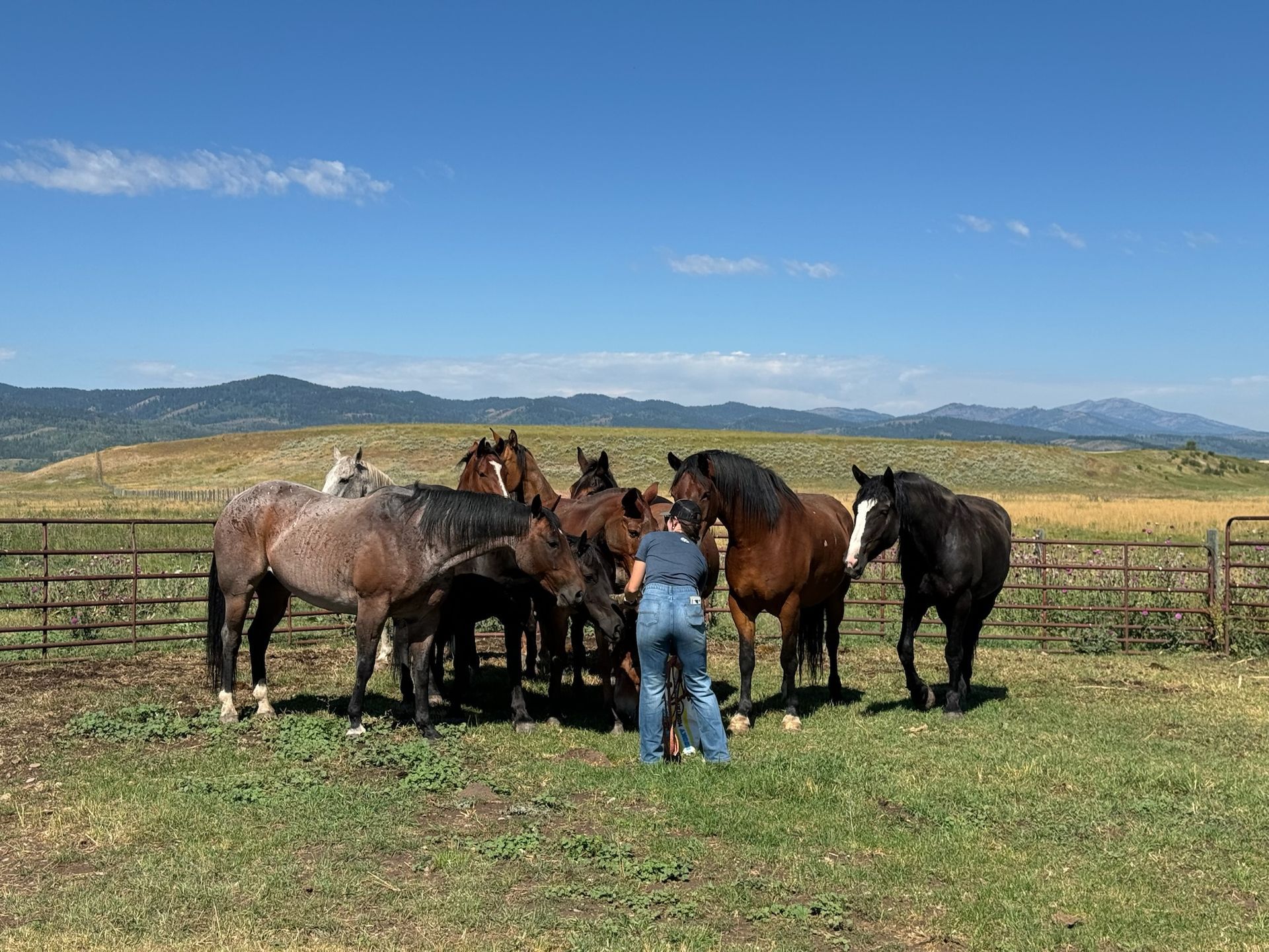 SAW Outfitters Gallery Image