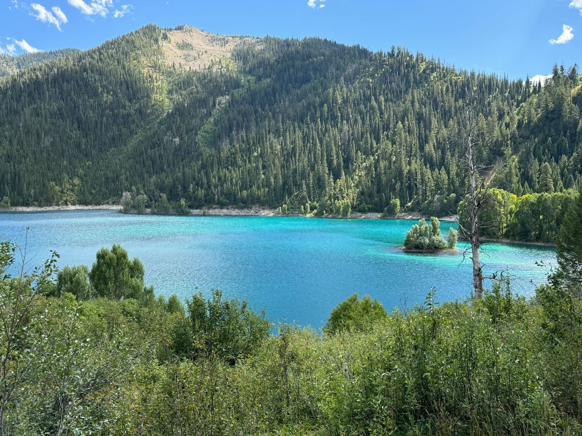 SAW Outfitters Gallery Image