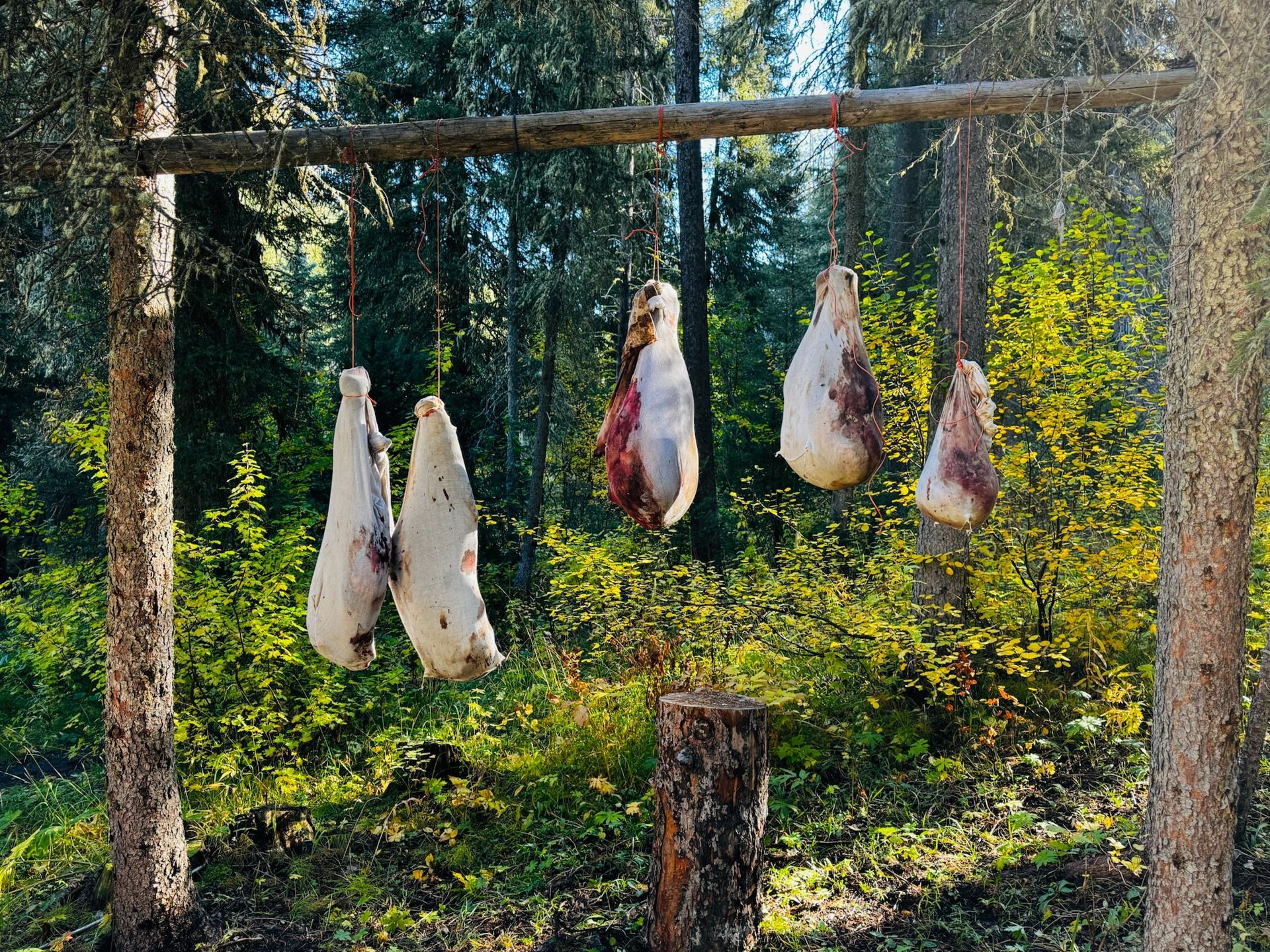 SAW Outfitters Gallery Image