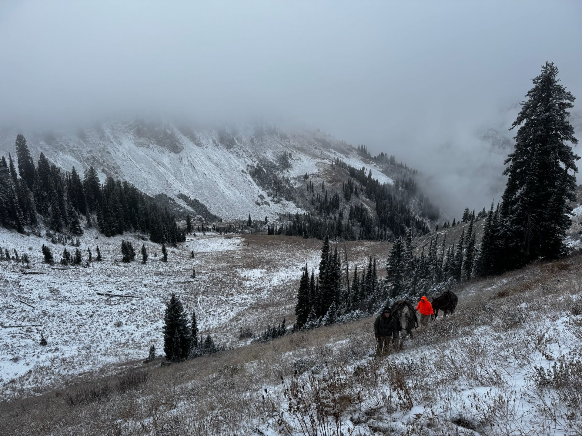 SAW Outfitters Gallery Image