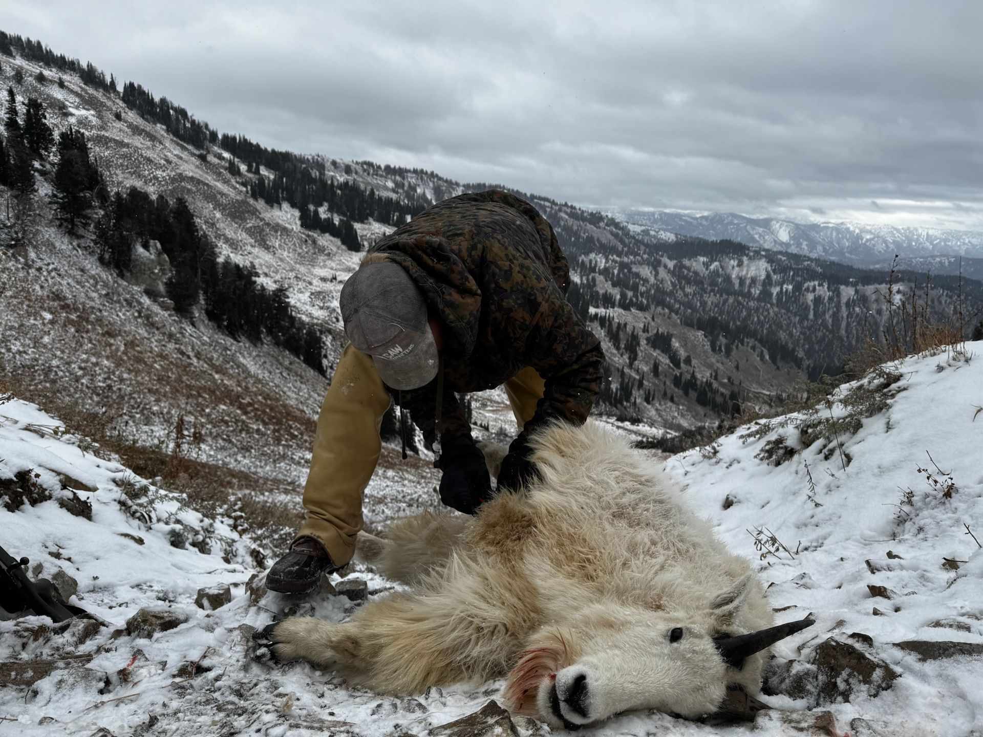 SAW Outfitters Gallery Image