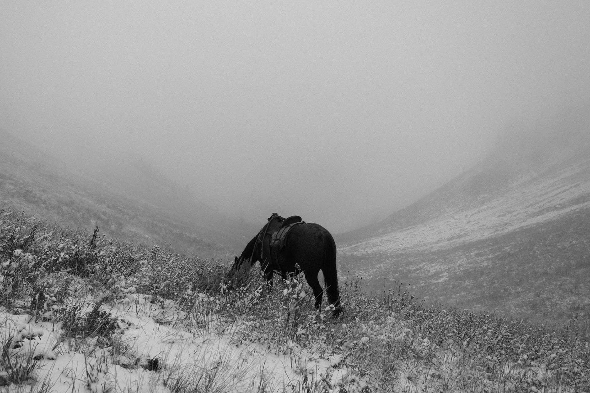 SAW Outfitters Gallery Image