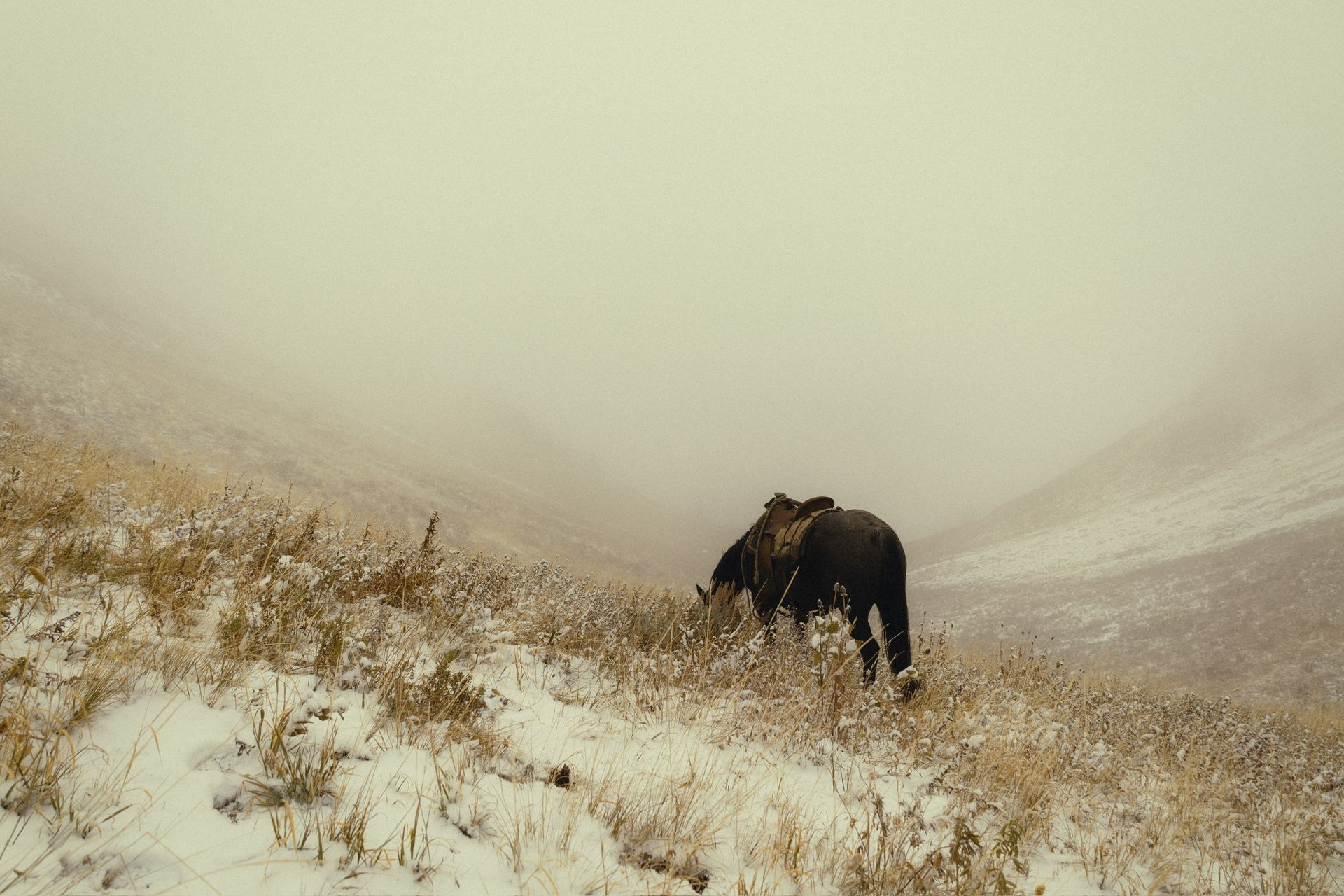 SAW Outfitters Gallery Image