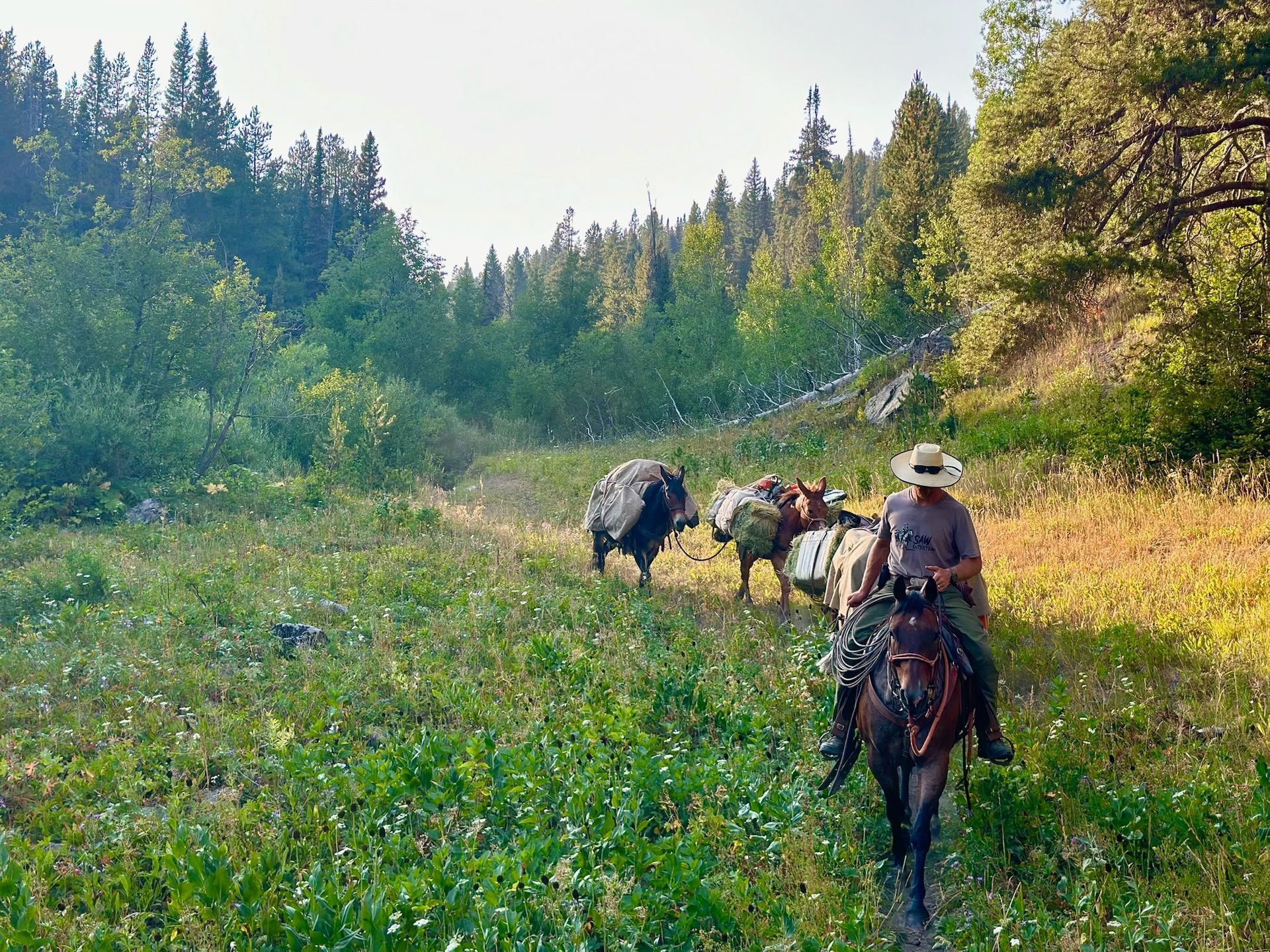 SAW Outfitters Gallery Image