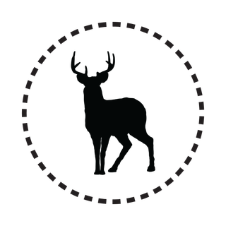 Mule Deer