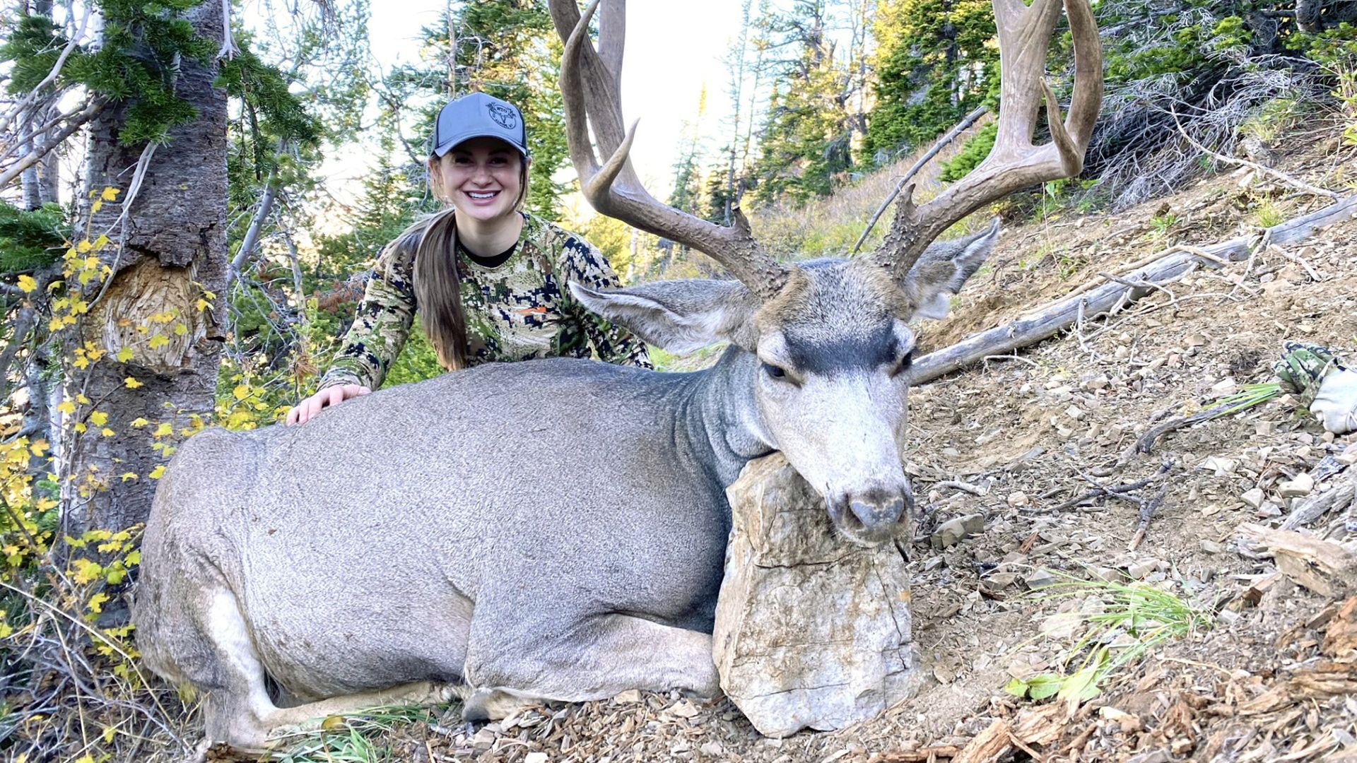 Mule Deer Hunts