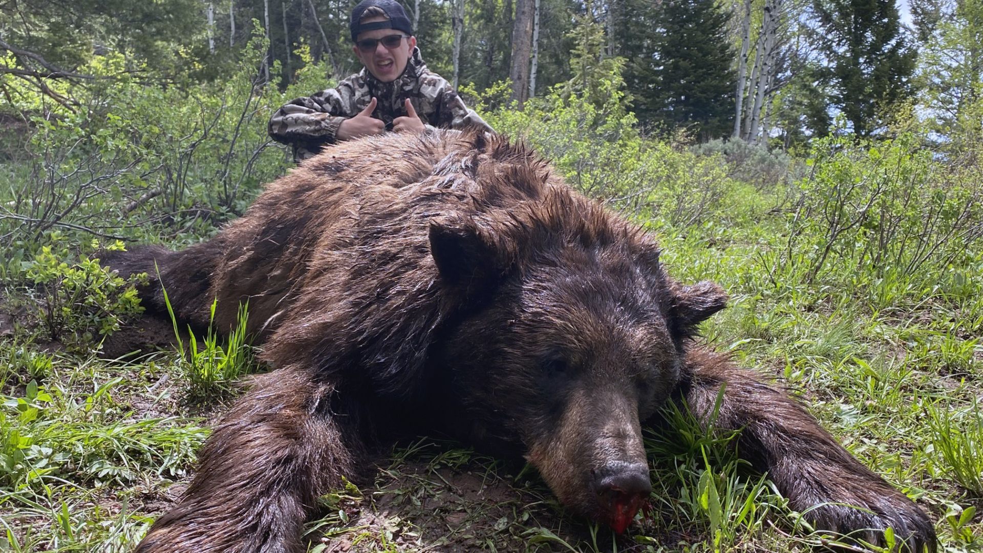 Black Bear Hunts