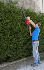 Intervento di manutenzione giardino