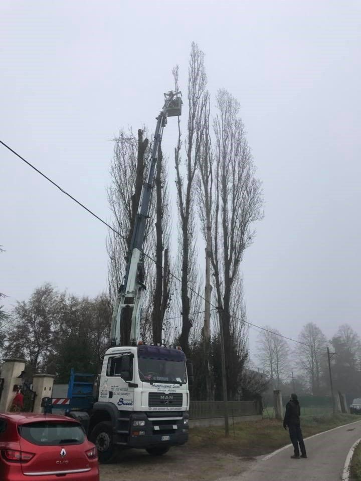 potatura alberi con piattaforma elevatrice