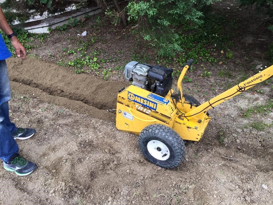 lavori di manutenzione giardino