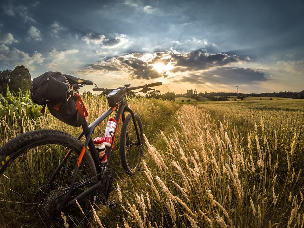 A bicycle is parked in a field of tall grass at sunset.