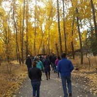A group of people are walking down a path in the woods.