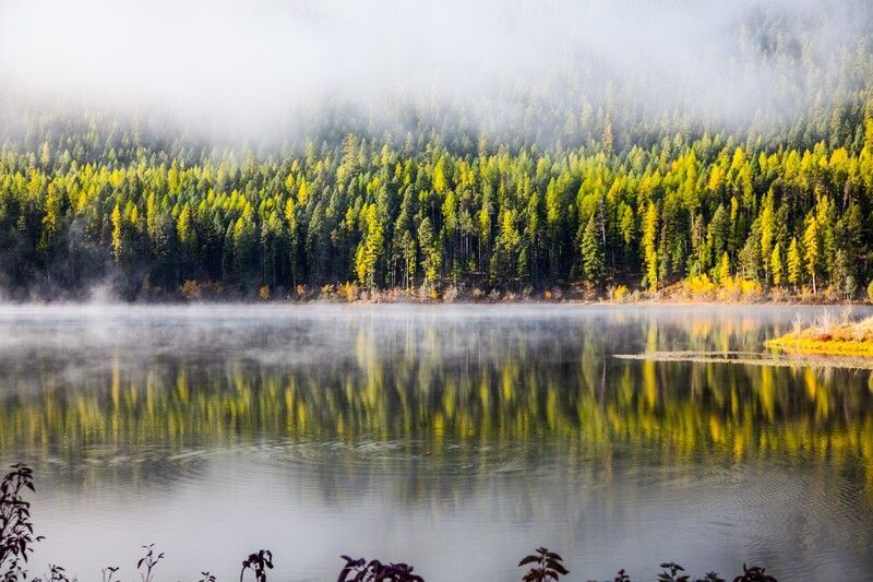A lake surrounded by trees on a foggy day