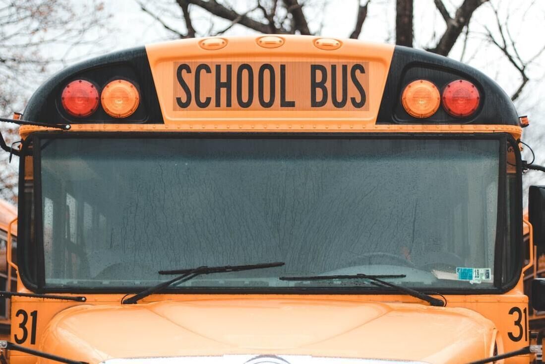 A yellow school bus is parked in front of trees.
