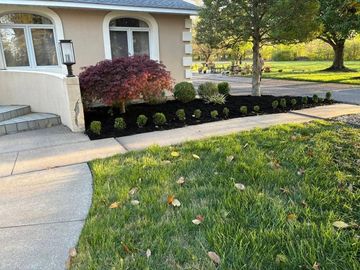 Front yard with a trimmed hedge, red shrub, walkway, and house entrance in warm evening light