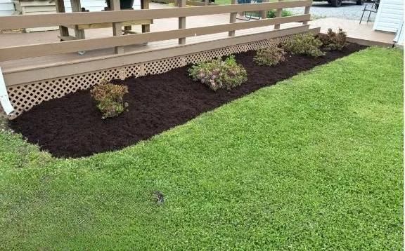 Small landscaped garden bed with dark mulch and shrubs beside a green lawn under a deck.