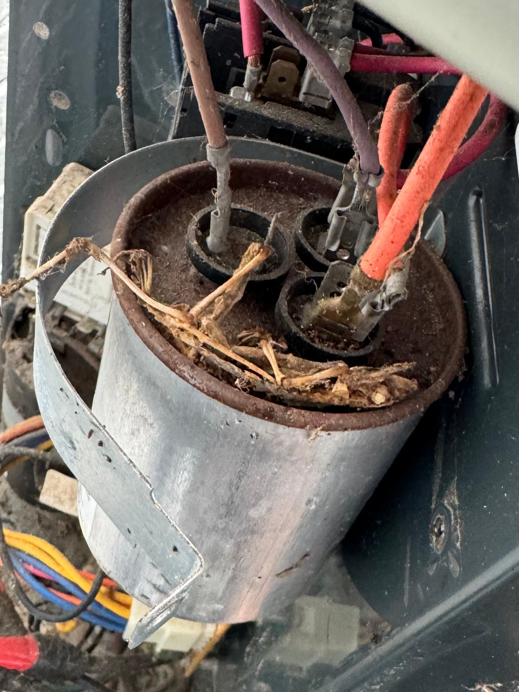 Cylindrical electrical capacitor with three terminals and wiring, surrounded by debris.