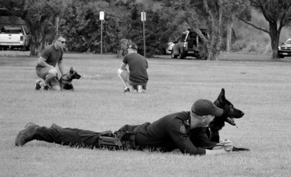 Meet the Performance K9 team