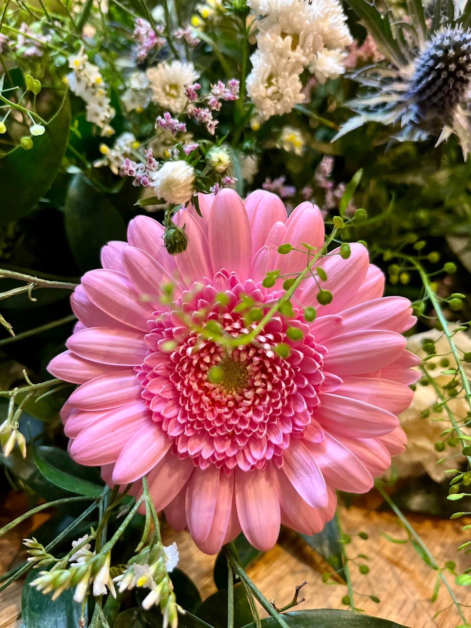 A close up of a pink flower surrounded by other flowers.