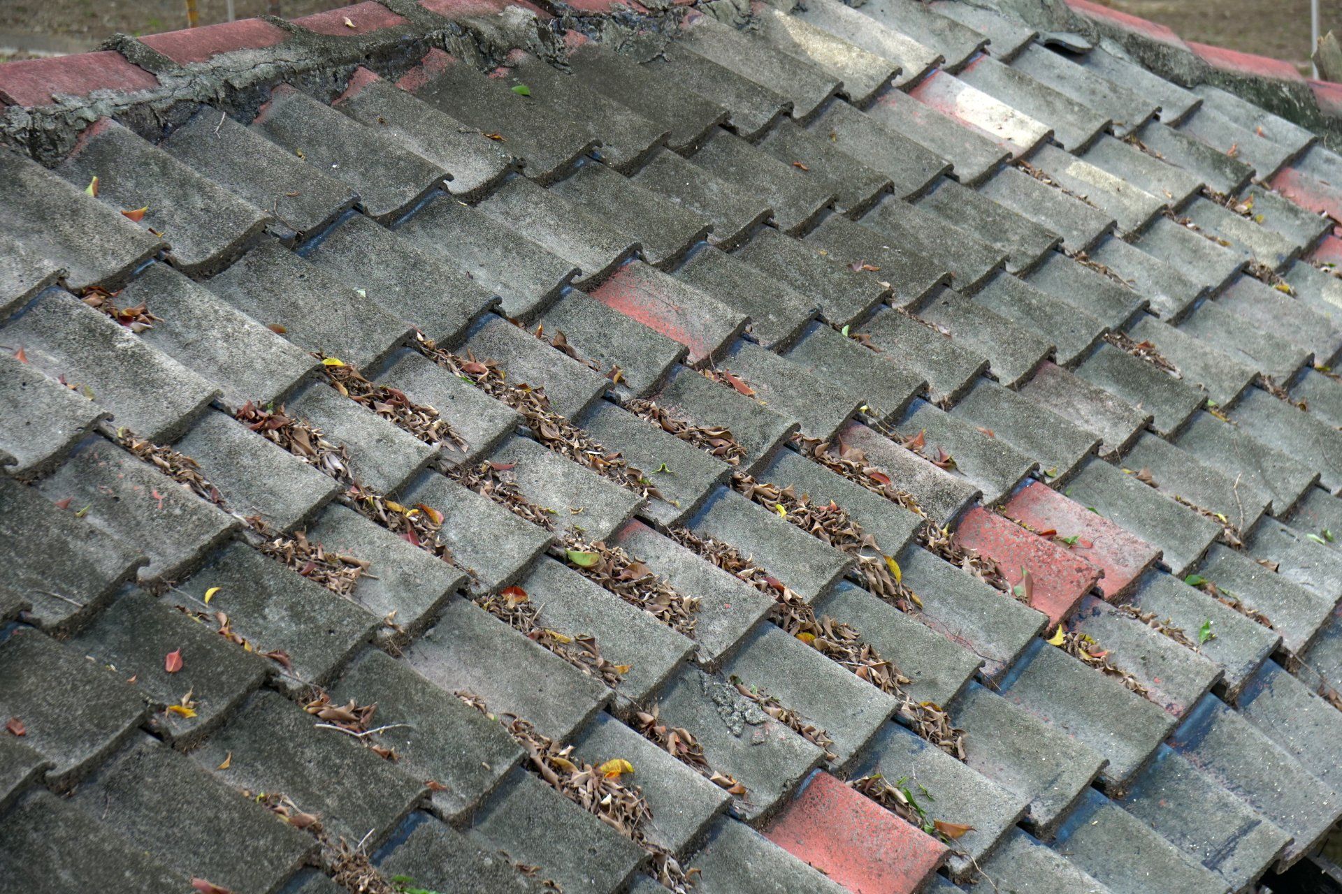 Roof Repairs/Emergency