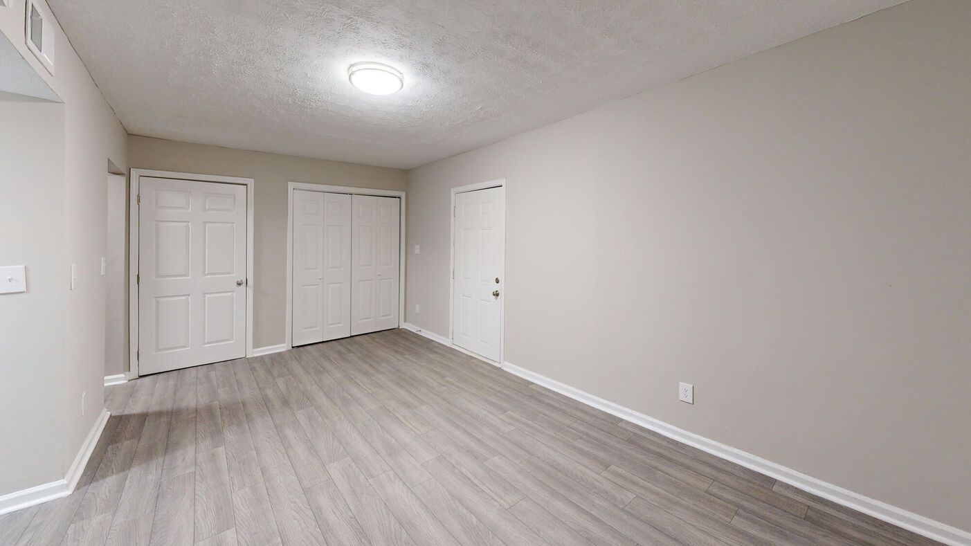 Empty room with gray wood-look flooring, three white doors, and a ceiling light.