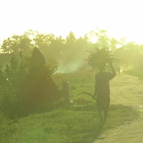 A man is walking down a road carrying a bunch of branches on his head.