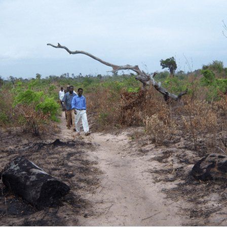 A group of people walking down a dirt path in a field