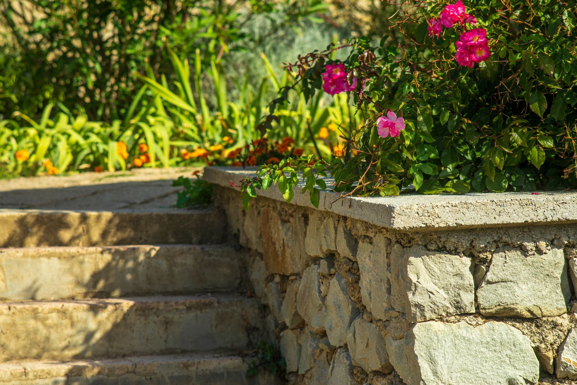 Natural stone steps bordered by a stunning retaining wall, planter, and garden border.