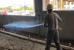 Pest Control Services in Spring Lake, MI