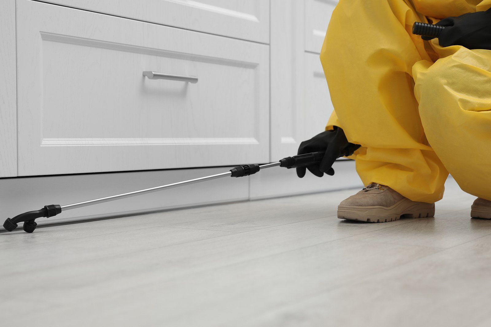 Commercial Pest Control Near You Commercial Pest Control Near You