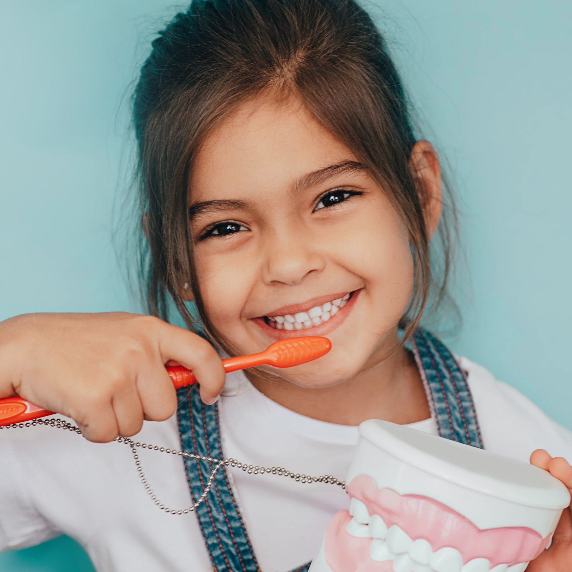 Kid holding toothbrush and smiling. Kid holding a model of a set of teeth.