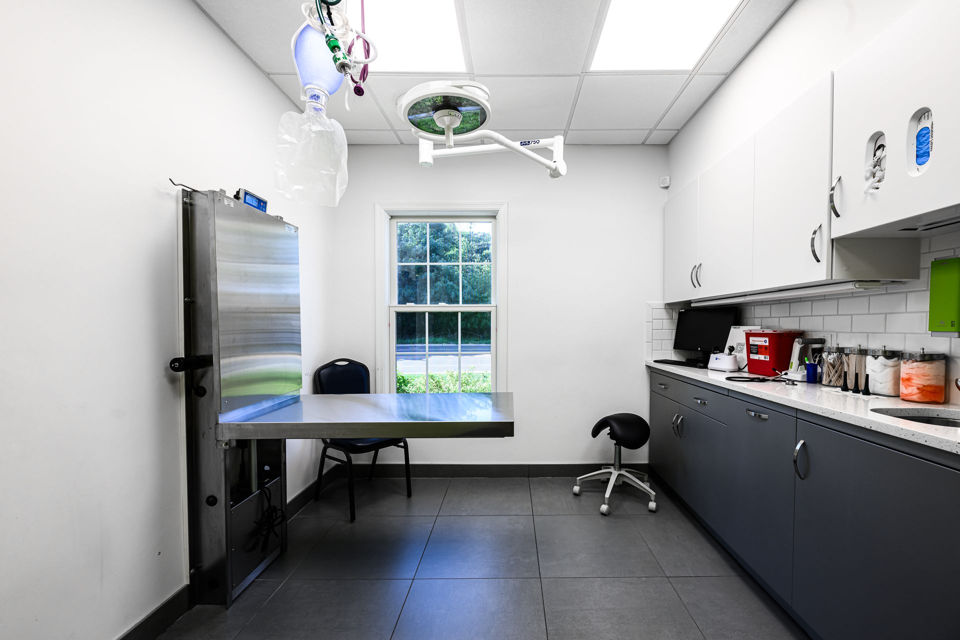 Veterinary exam room: stainless steel table, surgical light, cabinets, window, gray floors, black chair, and stool.